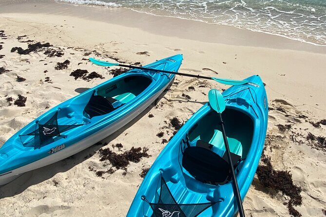 1 Hour Private Kayak Rental In Grand Turk - What the Reviews Say