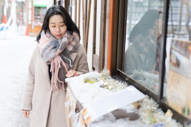 1 Hour Private Photoshoot in Niseko - Introduction to the Niseko Photoshoot Experience