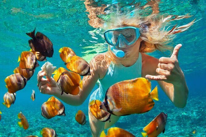 1 Hour Private Snorkeling Activity In Montego Bay - Convenient Pickups and Private Transport