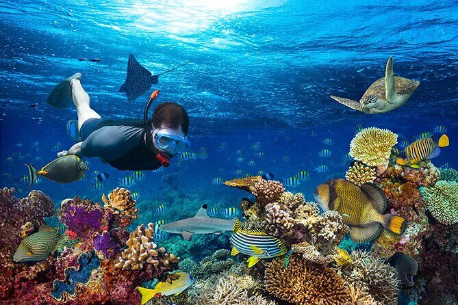 1 Hour Private Snorkeling Activity In Montego Bay - The 1-Hour Duration and Its Implications