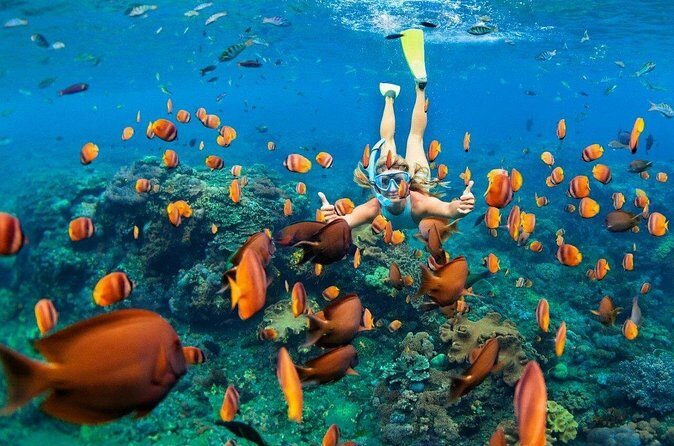 1 Hour Private Snorkeling Activity In Montego Bay - Cost and Value