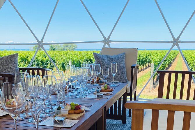 1 Hour Private Vineyard Dome Experience in Niagara-on-the-Lake - The Setting and Views