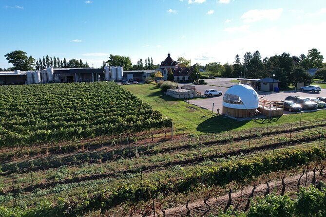 1 Hour Private Vineyard Dome Experience in Niagara-on-the-Lake - The Tasting and Food Pairings