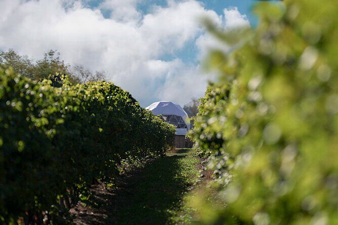 1 Hour Private Vineyard Dome Experience in Niagara-on-the-Lake - Pricing and Value