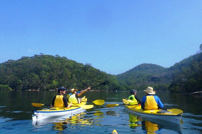 1 Hour Rental Deluxe Double Sea Kayak - The Experience in Detail