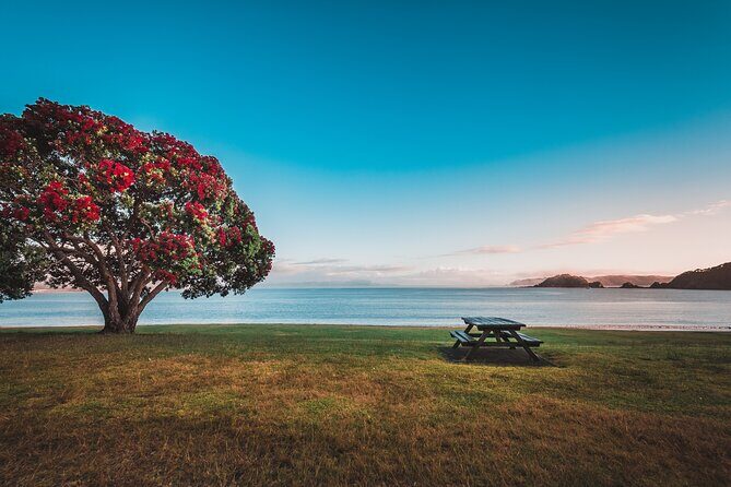 1 Hour Scenic Bay of Islands Tour - Frequently Asked Questions