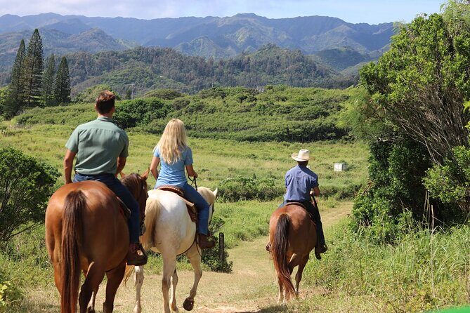 1 Hour Scenic Horseback Ride - An Honest Look at the Experience