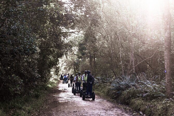 1 Hour Segway Experience - What Travelers Say: Authentic Perspectives
