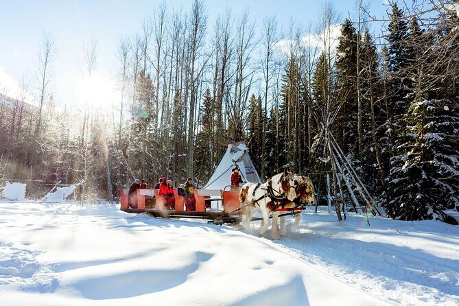 1 Hour Shared Winter Sleigh Ride Experience in Kananaskis - Introduction: Cozy, Authentic Winter Fun in Kananaskis