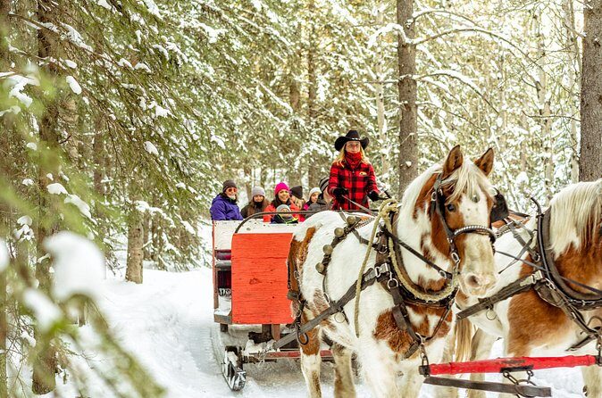 1 Hour Shared Winter Sleigh Ride Experience in Kananaskis - The Sum Up: A Warm, Scenic Winter Experience