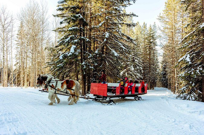1 Hour Shared Winter Sleigh Ride Experience in Kananaskis - FAQs