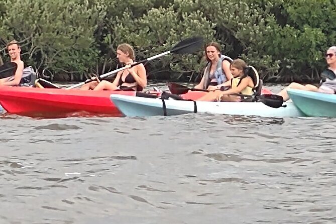 1-Hour Single Kayak Rental with Manatee & Dolphin sightings - Key Points