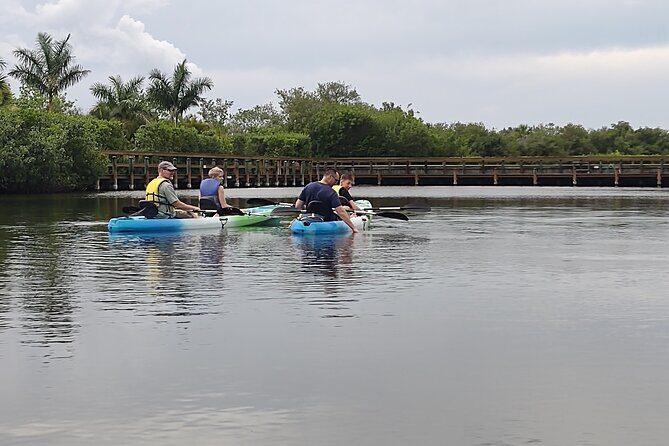 1-Hour Single Kayak Rental with Manatee & Dolphin sightings - Authentic Feedback from Participants