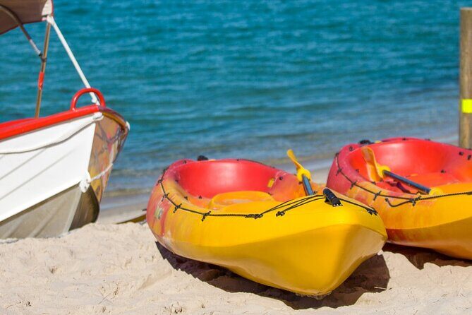 1 Hour Single or Double Kayak Rental to the Nth Bribie Island - The Broader Context of This Experience