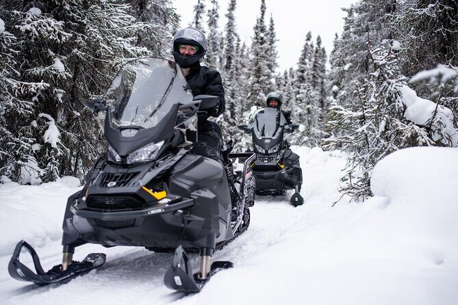1 Hour Snowmobile Adventure in Boreal Forest - The Sum Up