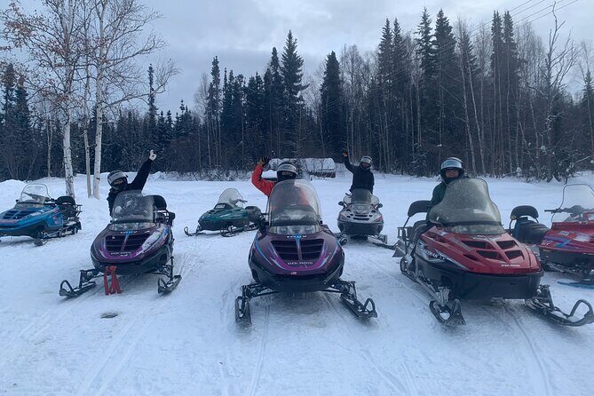 1 Hour Snowmobile Tour in Fairbanks Alaska - What to Expect from the Snowmobile Tour