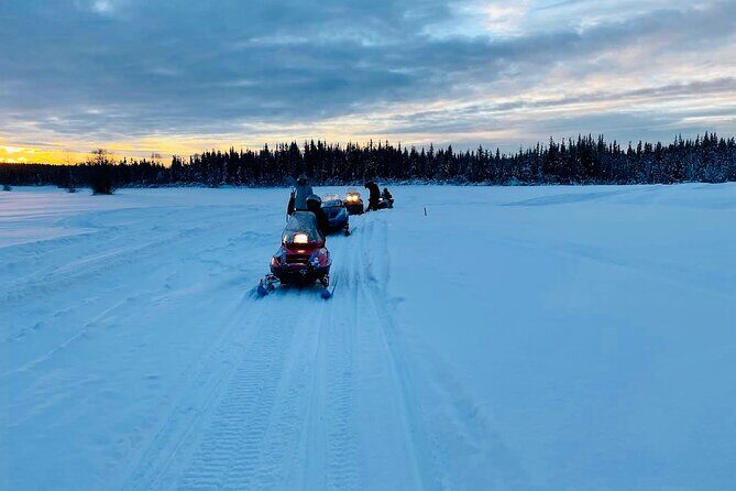 1 Hour Snowmobile Tour in Fairbanks Alaska - The Sum Up