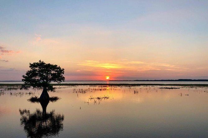 1-Hour Sunset Airboat Ride near Orlando - A Scenic Cruise through Florida’s Wildlife