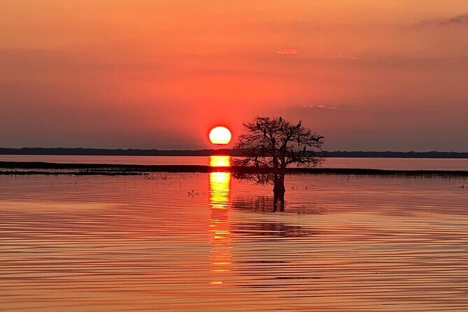1-Hour Sunset Airboat Ride near Orlando - Authentic Testimonials