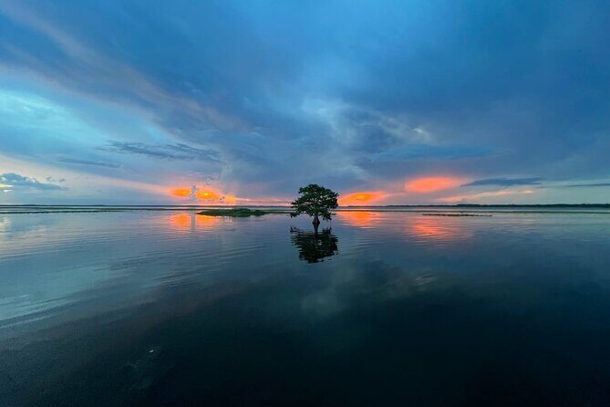 1-Hour Sunset Airboat Ride near Orlando - Who Would Enjoy This?
