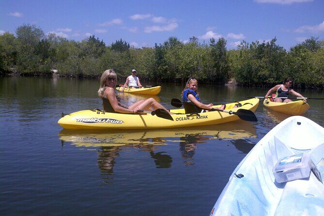 1-Hour Tandem Kayak Rental with Manatee & Dolphin sightings - Key Points