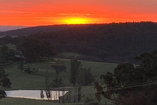 1 Hour Trike Tour for 2 in Mount and Lake Canobolas - The Sum Up