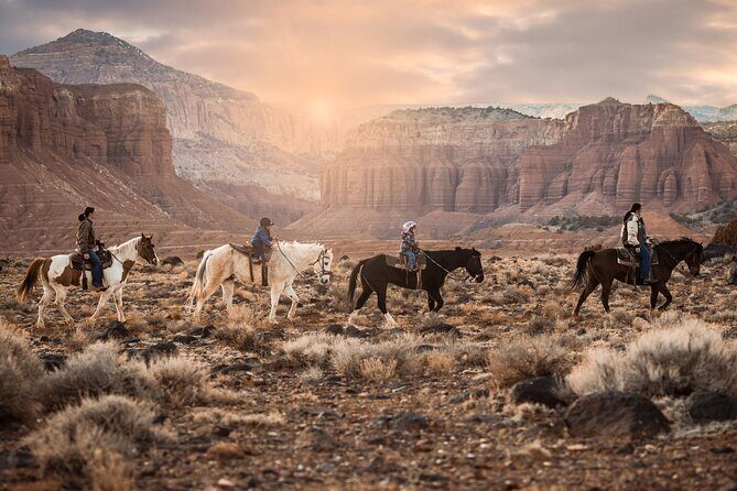 1-Hour Western Horse Ride - Exploring the Itinerary and Scene
