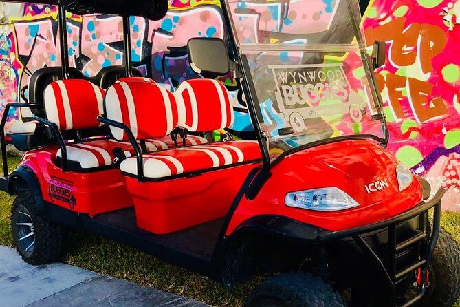 1 Hour WYNWOOD BUGGIES tour - What’s Included and What’s Not