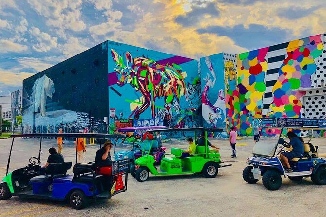 1 Hour WYNWOOD BUGGIES tour - The Experience from Travelers’ Perspectives