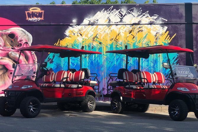 1 Hour WYNWOOD BUGGIES tour - The Itinerary Breakdown