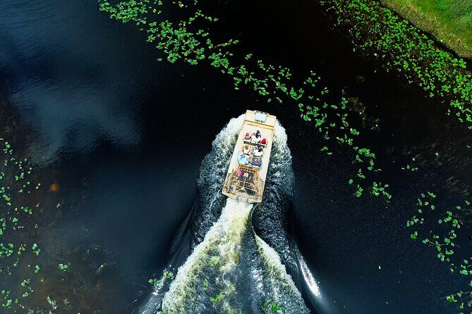1 hr Private Airboat Everglades Tour near Miami - Final Thoughts: Is It Worth It?