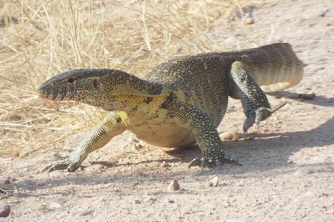 1 Night / 2 days at Mikumi National Park - The Itinerary: What to Expect