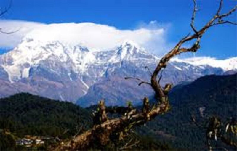 1 Night 2 Days Camping Tour at Australian Camp (Trek) - A Close Look at the Tour
