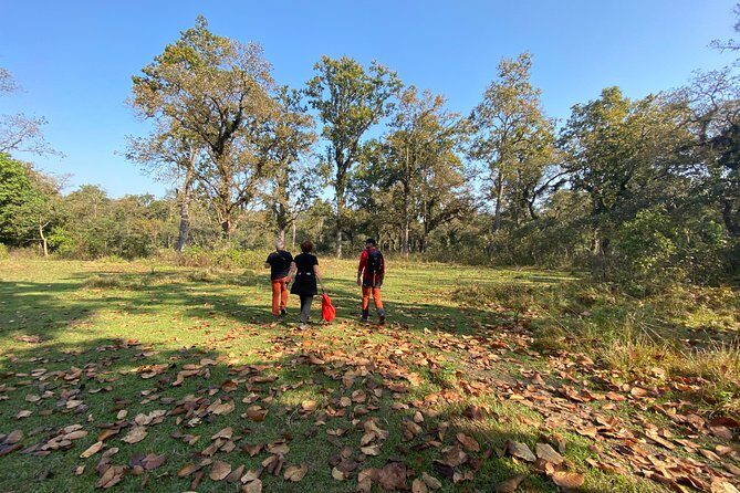 1 Night 2 Days Chitwan Jungle Safari Tour from Pokhara or Kathmandu - Exploring the Itinerary: What to Expect Day by Day