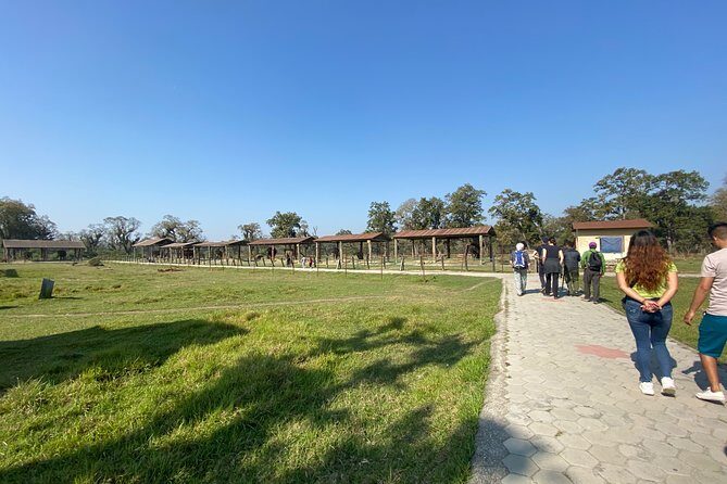 1 Night 2 Days Chitwan Jungle Safari Tour from Pokhara or Kathmandu - Who Is This Tour Best For?