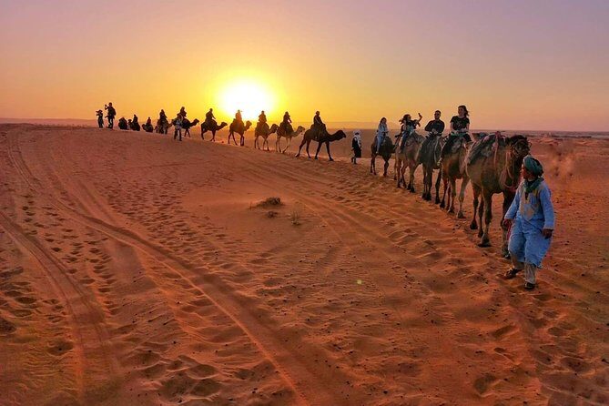 1 Night All inclusive Camel Ride & Desert Camp - What to Expect from the Tour