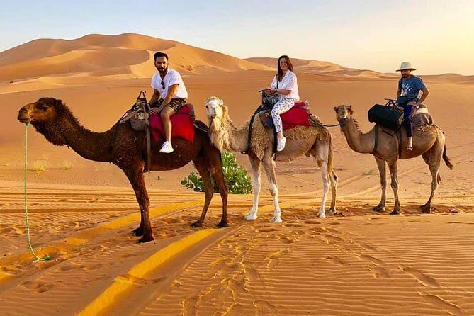 1 Night All inclusive Camel Ride & Desert Camp - Deep Dive: The Itinerary Breakdown