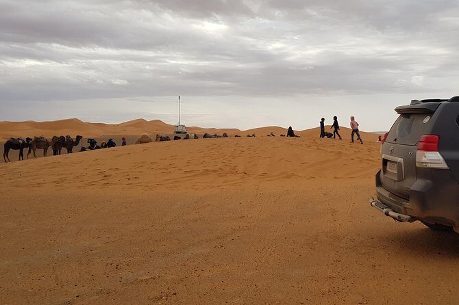 1 Night All inclusive Camel Ride & Desert Camp - Final Thoughts