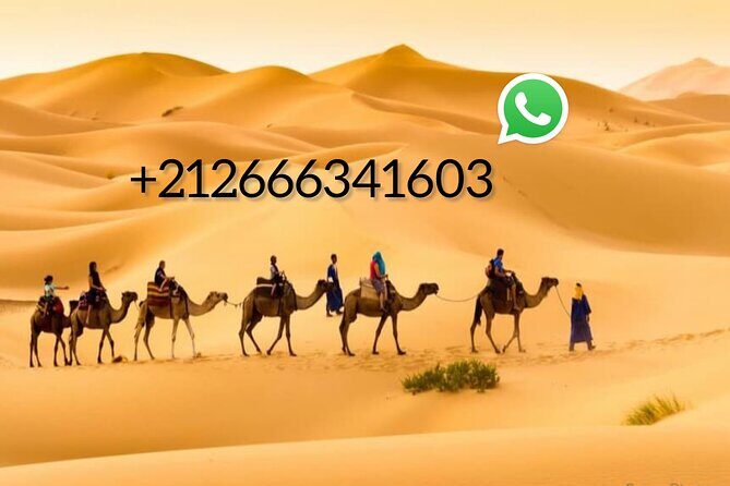 1 night Camel trek in Merzouga Desert Luxury Camp NO EXTRA - An In-Depth Look at the Desert Adventure