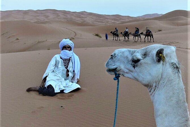 1 night Camel trek in Merzouga Desert Luxury Camp NO EXTRA - Frequently Asked Questions