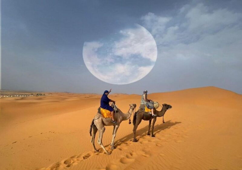 1 night Camel Trek in Merzouga Desert - Value and Practical Considerations
