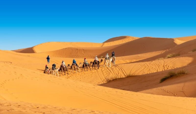1 night Camel Trek in Merzouga Desert - Authentic Experiences Highlighted by Guests