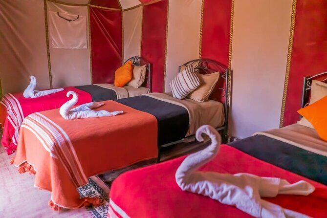 1 night Camel Treking in Merzouga Desert Luxury Camp - Authentic Experiences and Guest Feedback