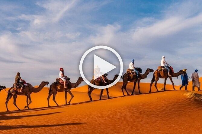 1 Night Camel Trekking in Merzouga - The Itinerary: What to Expect from Start to Finish