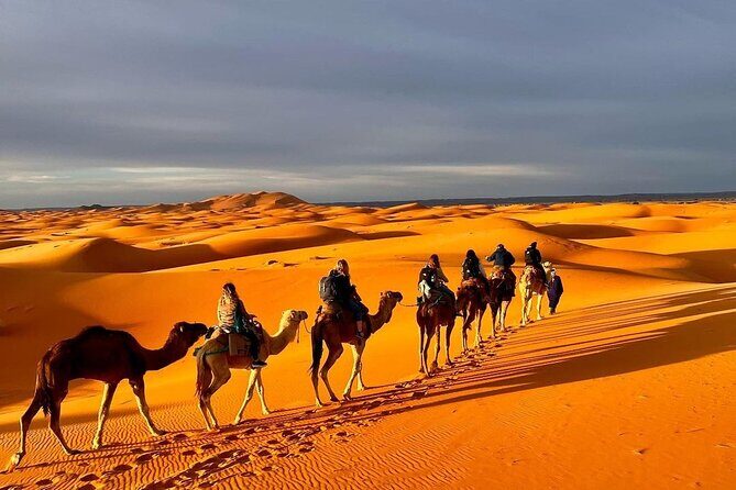 1 Night Camel Trekking in Merzouga - Authentic Traveler Feedback