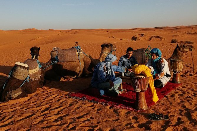 1 Night Camel Trekking Tour in Merzouga Desert Camp - Who Will Love This Tour?