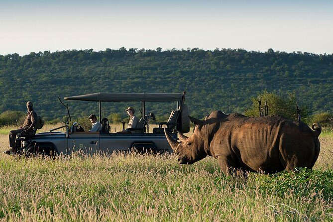1 Night Madikwe Game Reserve - Final Word