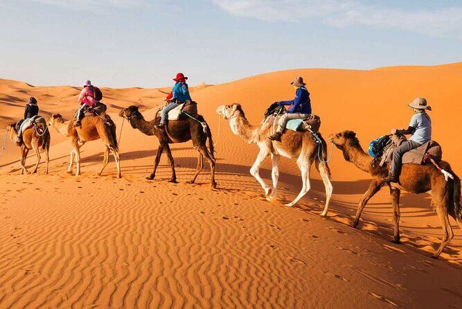 1 night Merzouga camel Trekking - The Itinerary in Detail