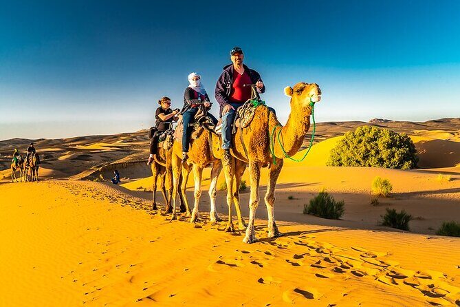 1 night Merzouga camel Trekking - The Sum Up
