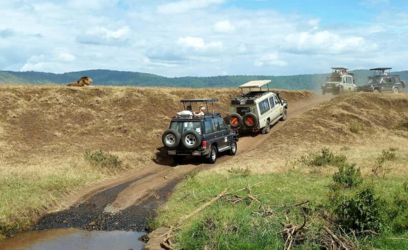 1 Night Mikumi Adventure safari From Dar es Salaam - What’s Included & What You Should Know